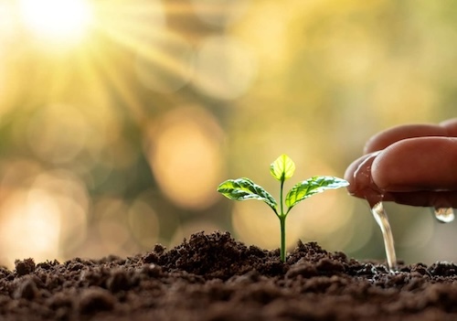 Ventajas del Agua de Pozo Profundo para riego de plantas